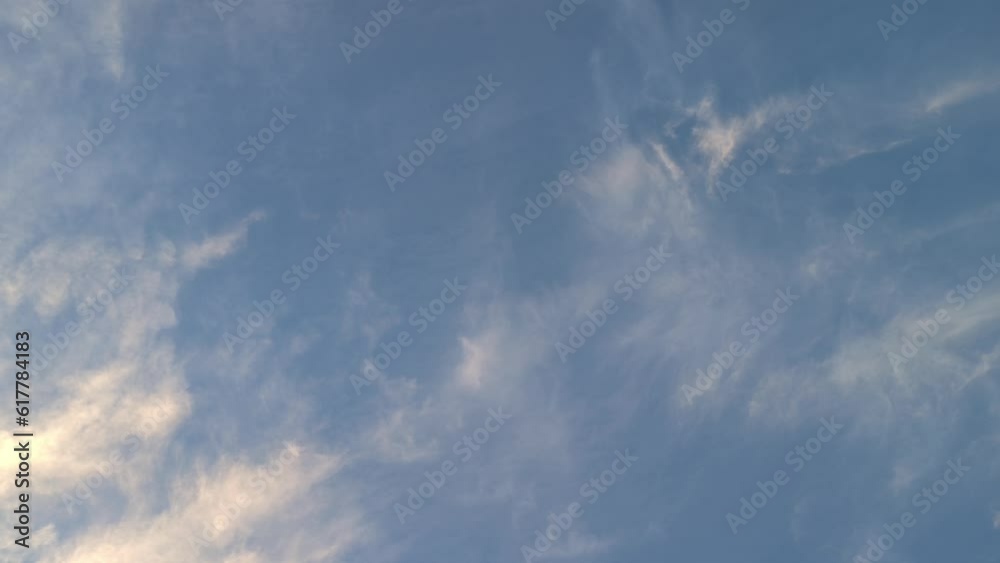 The birds fly close together at sunset The birds fly close together at sunset