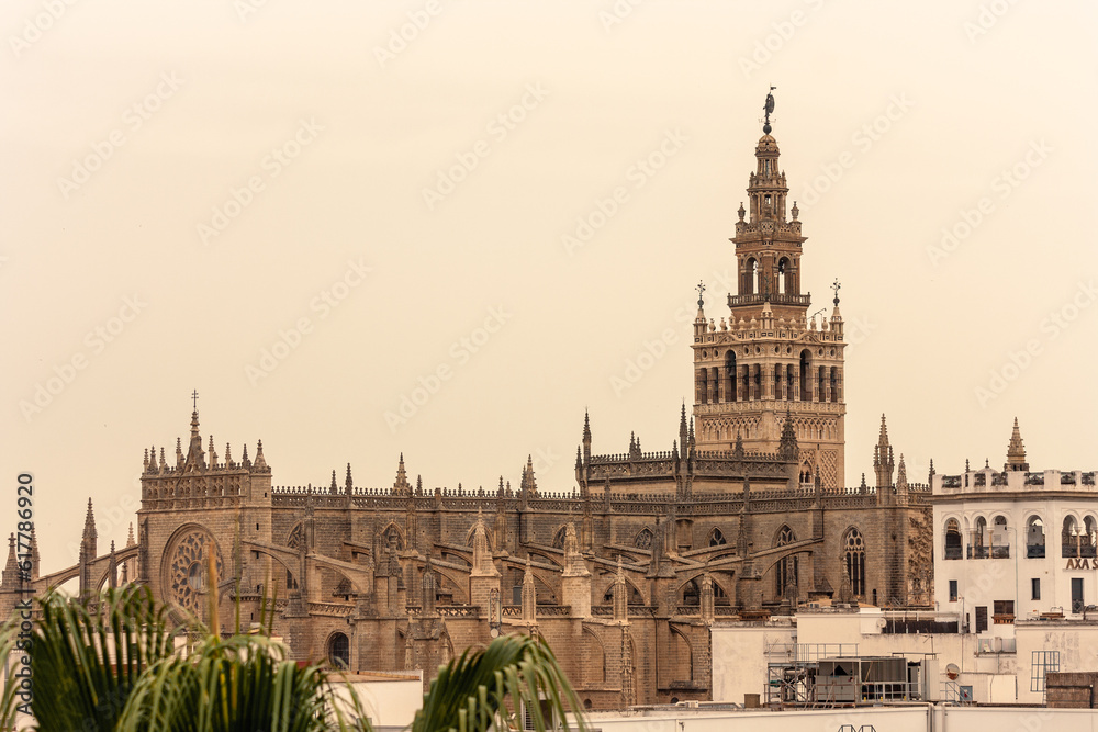 Fototapeta premium Catedral de Sevilla y Giralda