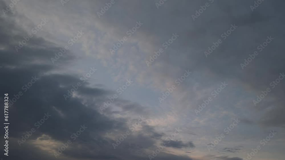 Birds fly together masterfully at sunset while on one side it is sunset and on the other it is dark Birds fly together masterfully at sunset while on one side it is sunset and on the other it is dark