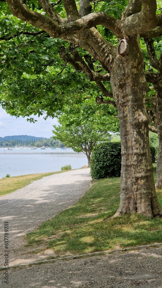 Seeufer Sommer am schönen Radolfzell am Bodensee Seeufer Sommer am schönen Radolfzell am Bodensee