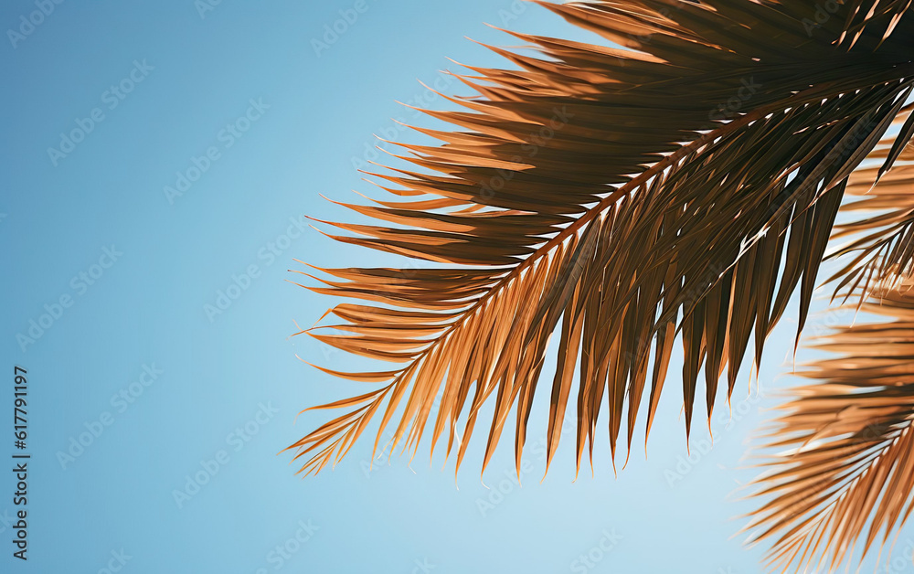 Palm tree leaf on blue sky background created with Generative AI technology
