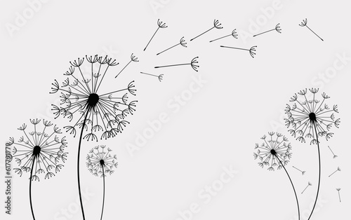 Fototapeta Naklejka Na Ścianę i Meble -  Vector illustration dandelion seed blowing in the wind. Dandelion seed with butterfly icon.