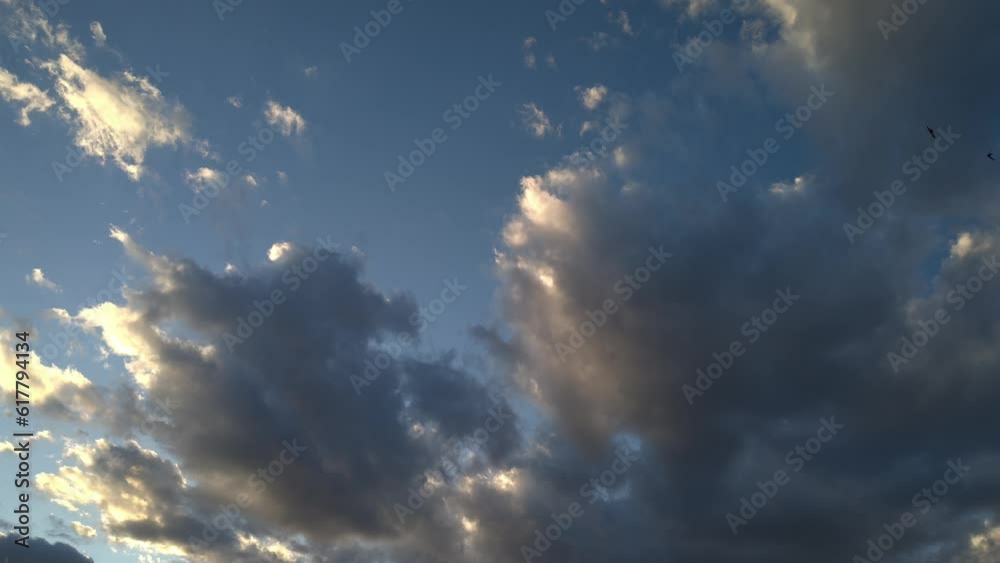 Birds flying elegantly at sunset next to strangely shaped clouds Birds flying elegantly at sunset next to strangely shaped clouds