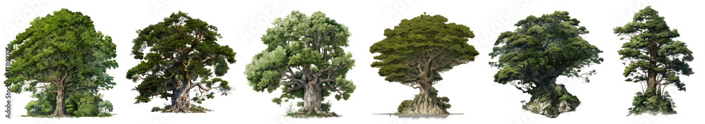 seria drzew, Ilustracja bez tła, png, wygenerowane przez AI - obrazy, fototapety, plakaty 