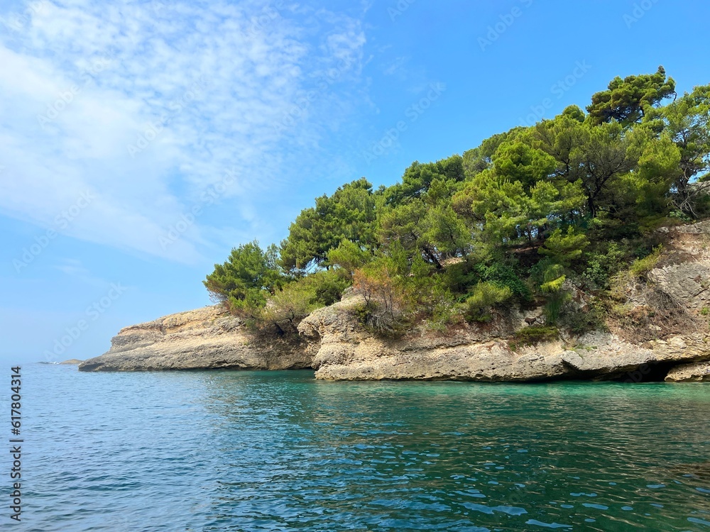 Sea coast overgrown pine coast in summer Montenegro. 