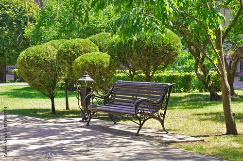 Beautiful bench in the city park against the background of trees