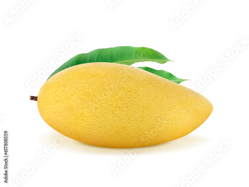 Golden yellow ripe mango fruit, transparent background