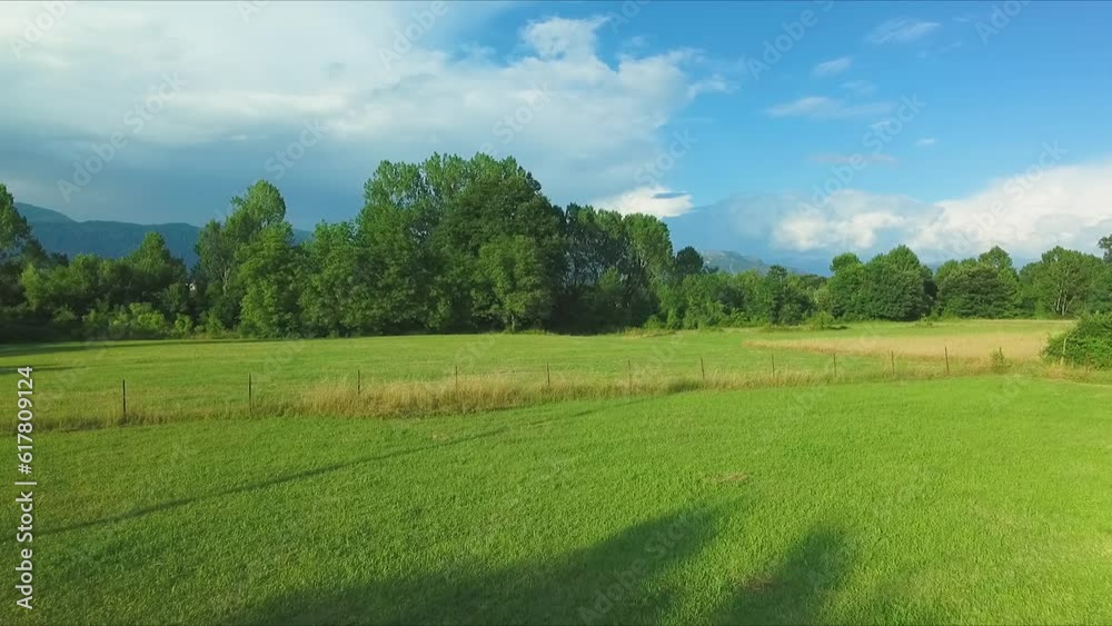 Aerial view of green meadows, fields and trees. Land for agriculture and animal husbandry Aerial view of green meadows, fields and trees. Land for agriculture and animal husbandry