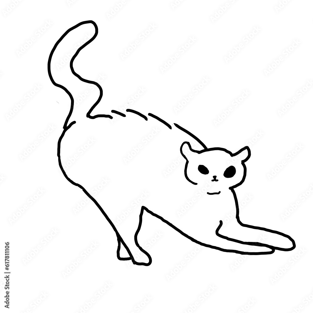 white cat white cat