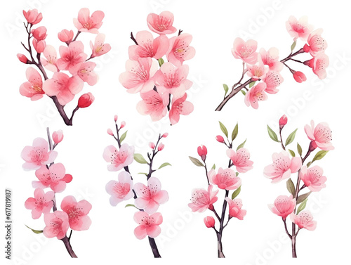 Cherry blossom branches. Japanese blooming trees  sakura flowers spring decor hand paint illustration set. Generative AI