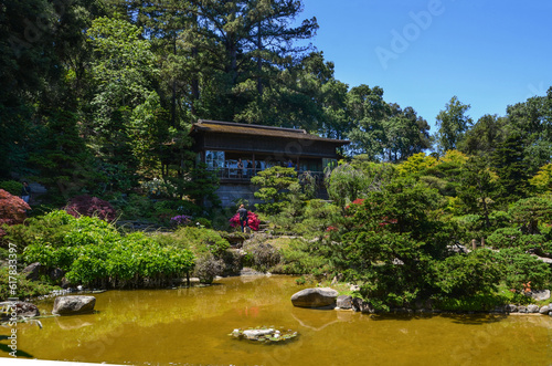 USA California May 2023 Hakone Gardens in Saratoga photo