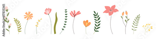 Flowers and plants in color to decorate different designs. A collection of flowers, a botanical arrangement for weddings in color isolated on a white background.