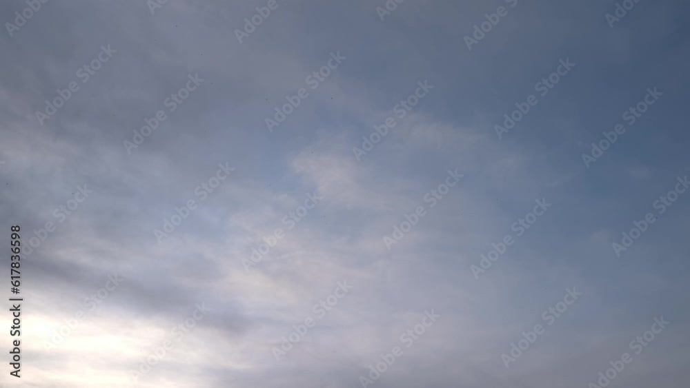 Birds soar at dusk in a bluish sky. Birds soar at dusk in a bluish sky.