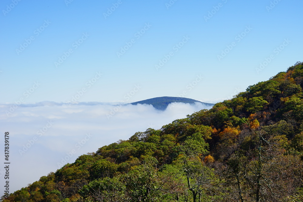 Shenandoah National Park landscape	

