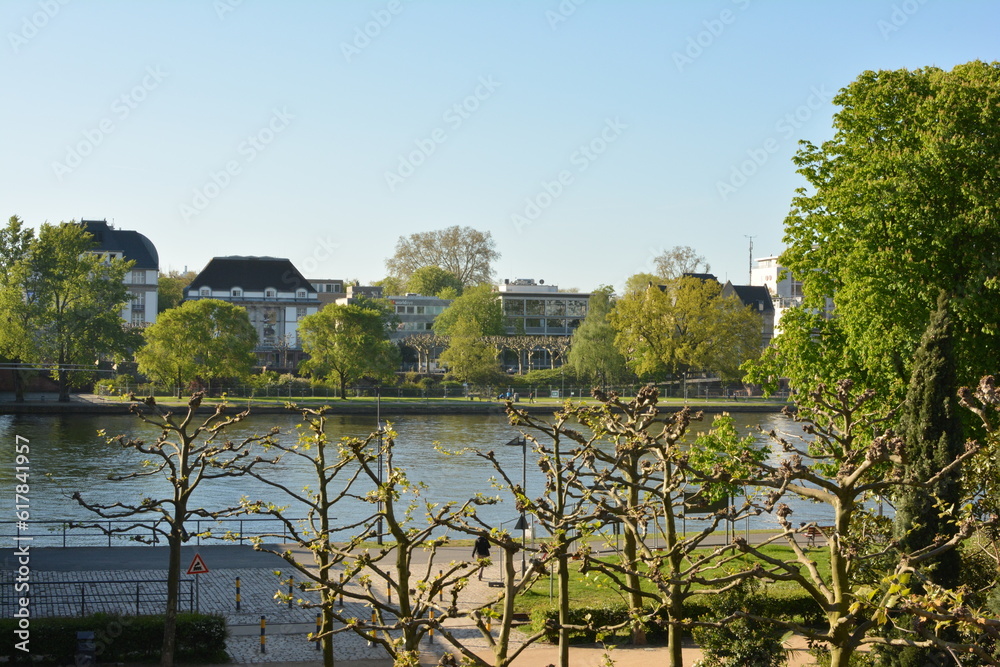 Fototapeta premium a panorama view of cityscape at am main river in Frankfurt, Germany