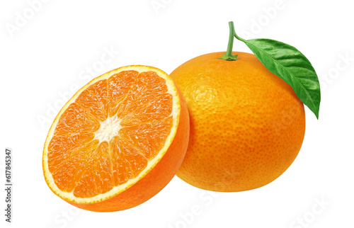 オレンジのイラスト リアル