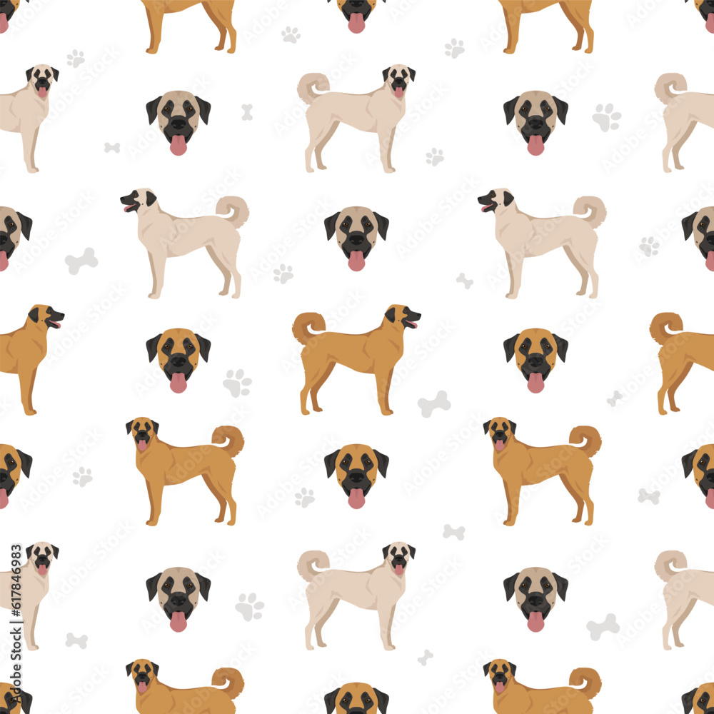 Anatolian shepherd all colours seamless pattern. Different coat colors and poses set Anatolian shepherd all colours seamless pattern. Different coat colors and poses set
