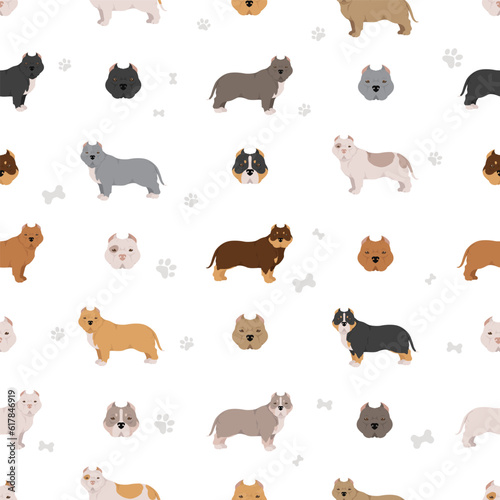 American bully dogs set. Color varieties, different poses. Seamless pattern