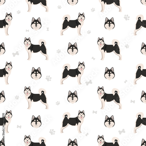 Alaskan malamute all colours seamless pattern. Different coat colors and poses set