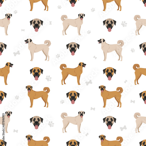 Anatolian shepherd all colours seamless pattern. Different coat colors and poses set