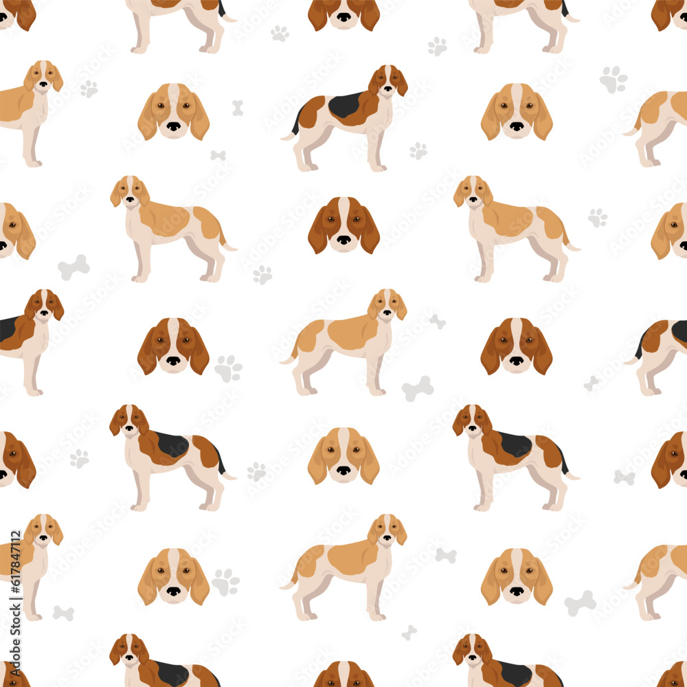 Beagle Harrier  seamless pattern. Different coat colors and poses set