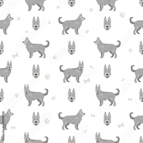 Berger picard seamless pattern. Different coat colors and poses set photo