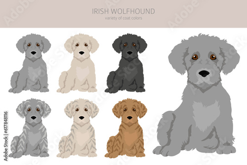 Irish wolfhound puppies clipart. Different poses, coat colors set