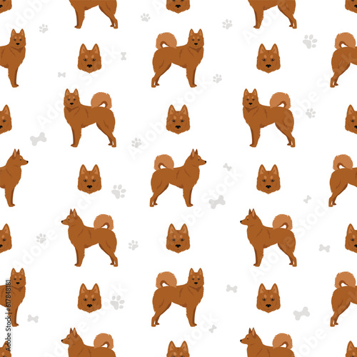 Karelo-Finnish laika  seamless pattern. Different coat colors set