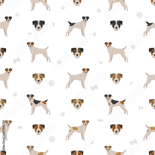 Parson Russel terrier broken haired seamless pattern. Different poses, coat colors set