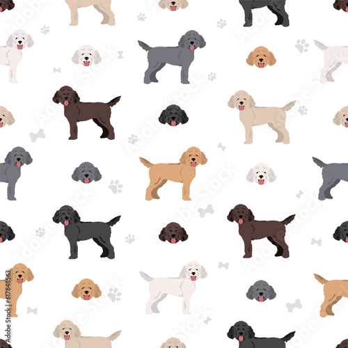 Medium poodle  Moyen  seamless pattern. Different poses  coat colors set