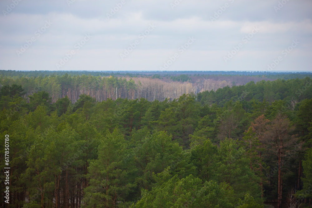 Landscape from above pine forest and cloudy sky.