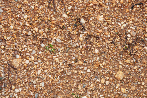 Texture of wet coarse sand