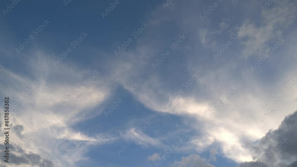 Landscape of birds and one plane flying in the sky at sunset Landscape of birds and one plane flying in the sky at sunset