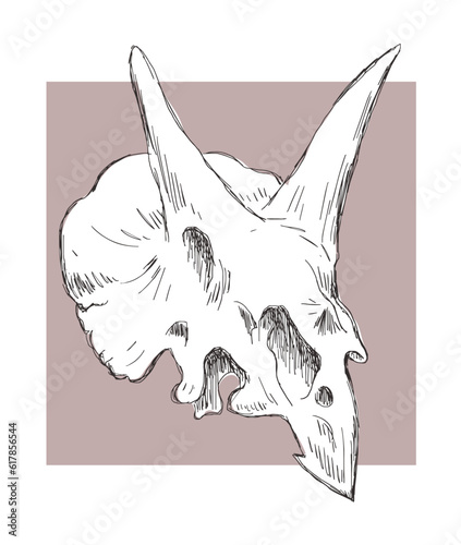 Dinosaur skull skeleton. Hooded horned lizard triceratops. Scary monster predator with teeth. The science of paleontology. Vector art illustration sketch. Hand drawn ink. Drawing line