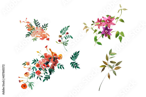 simple watercolor flowers elements isolated on white background