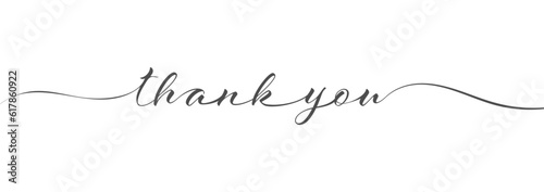 Stylized calligraphic inscription thank you in one line