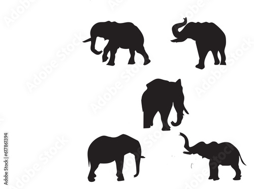 Vector  of animal elephant silhouettes in different positions Related tags