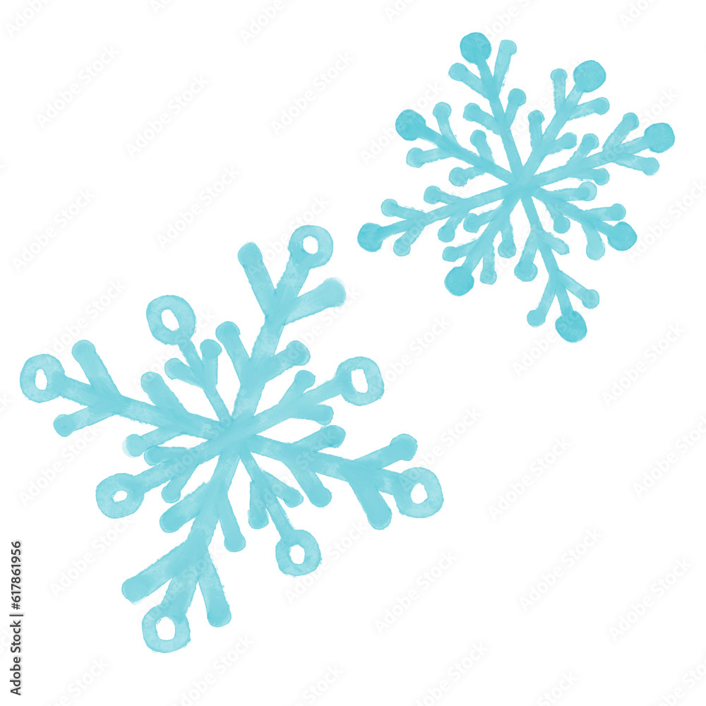 Snow drop Snow drop