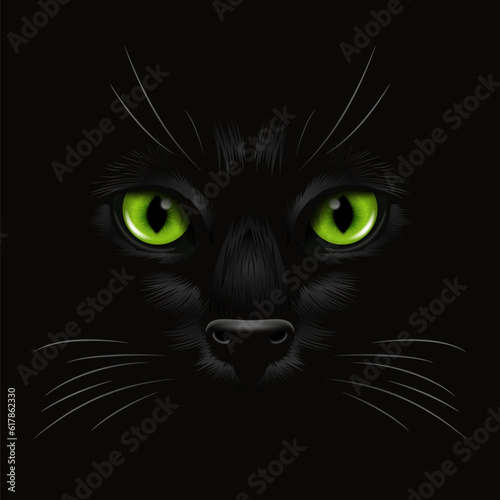 Vector 3d Realistic Green Cats Eye of a Black Cat in the Dark, at Night. Cat Face with Yes, Nose, Whiskers on Black. Cat Closeup Look in the Darkness. Front View