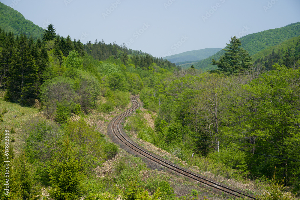 Fototapeta premium 石北本線のカーブした線路