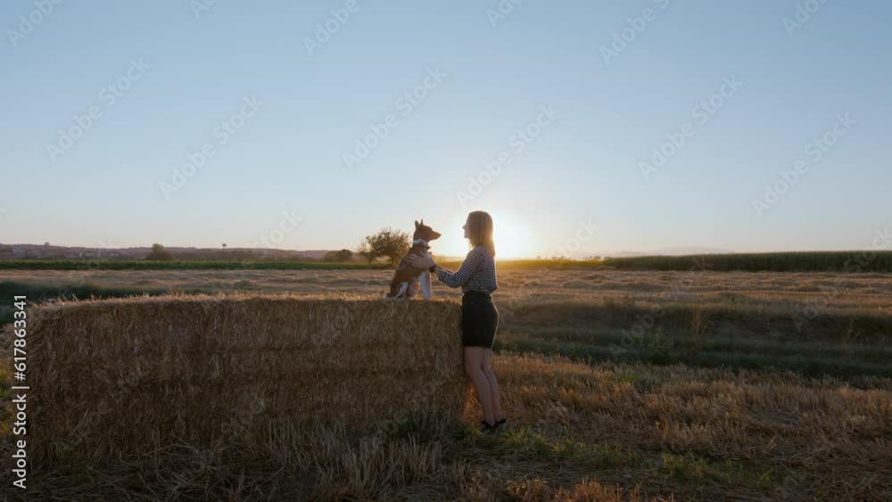 Millennial teenager pet and kiss Basenji dog at sunset. Surrounded by golden hay fields they savor the pure joy of life. Carefree countryside lifestyle. Save the planet with love and care. Millennial teenager pet and kiss Basenji dog at sunset. Surrounded by golden hay fields they savor the pure joy of life. Carefree countryside lifestyle. Save the planet with love and care.