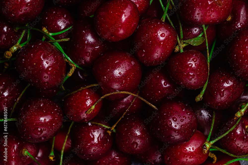 cherry close-up. cherry macro cherry close-up. cherry macro