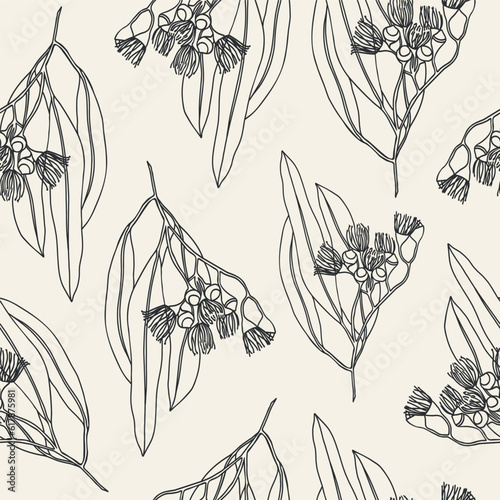 Line art Australian native eucalyptus seamless pattern	