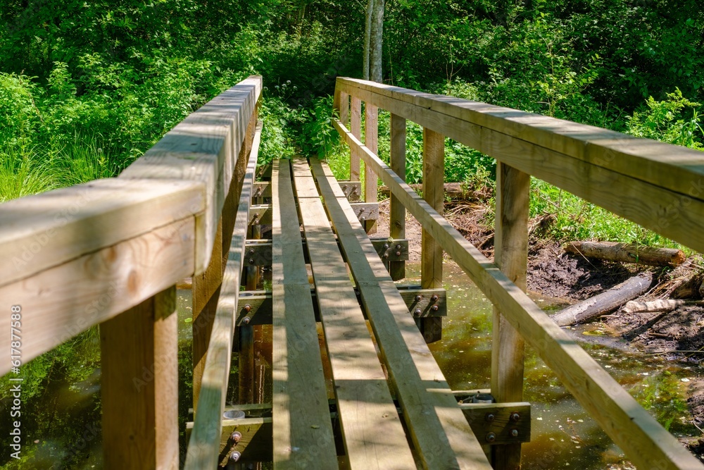 A wooden boardwalk with railings in a wet swampy area. Equipped tourist trail with wooden paths and footbridges. healthy lifestyle