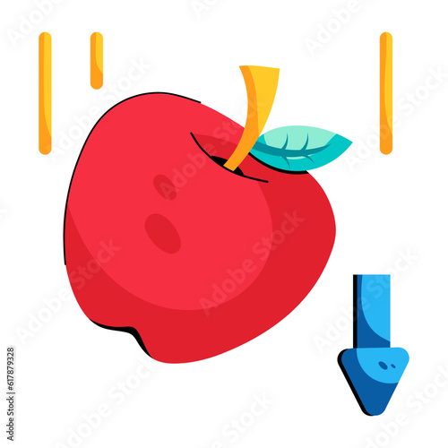 Gravity Experiment 
