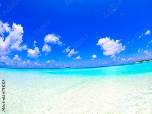 sandbank of the maldives  maldives beach 