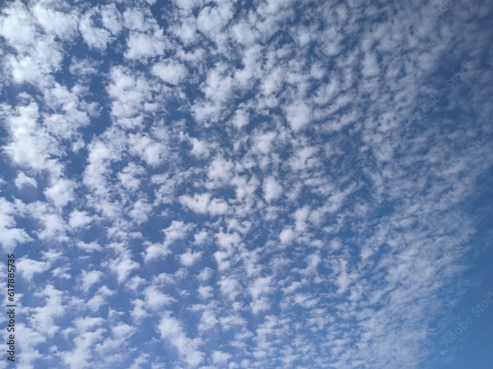 Altocumulus cloud in the deep blue sky in the morning