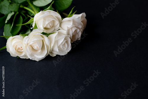 Bouquet of white roses on a black background with space for text