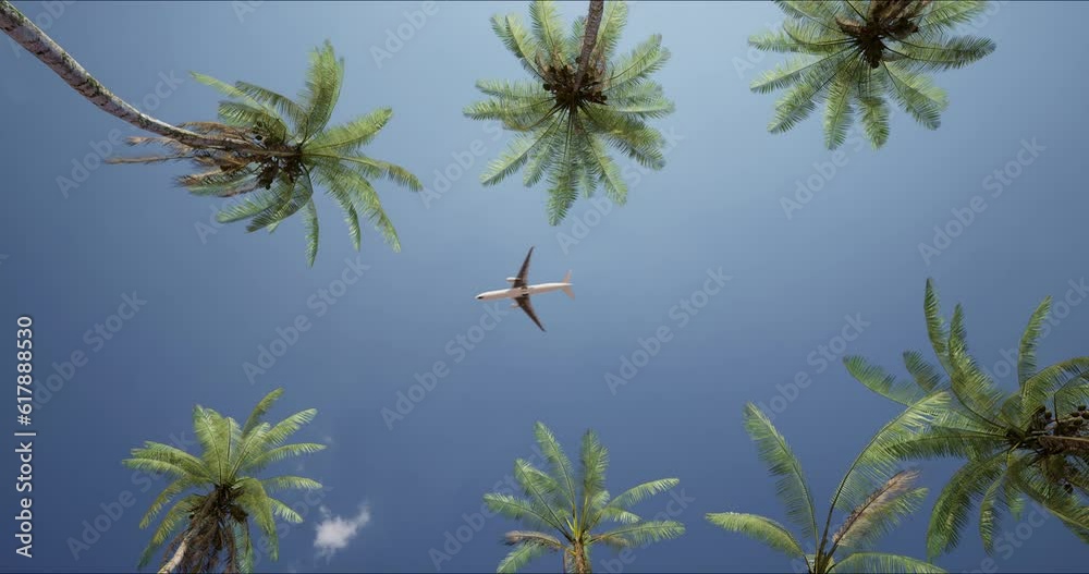 Long-haul passenger plane flying over a resort with palm trees on a sunny day. Bottom view. The concept of an exotic vacation.