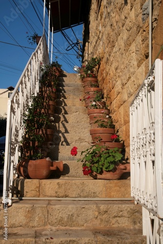 staircase with a row of flower pots leading up a stone house in the Lebanon village of Baabdat photo
